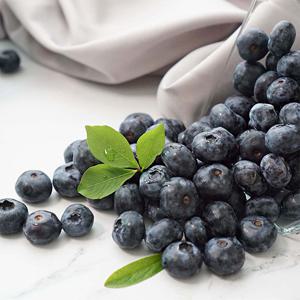 국내산 유기농 블루베리 냉동 1kg 2kg특품/ GF