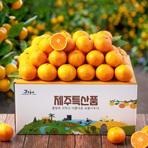 새콤달콤 제주 타이벡 노지 감귤 귤 2.5kg  4.5kg