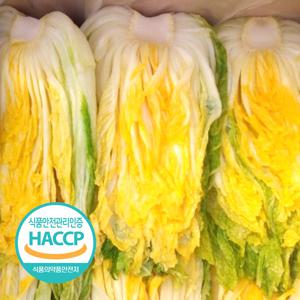 [예약판매] 해썹인증 강원도 절임 배추 20kg 7-10포기 절인 김장 김치 인제