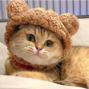 SPS 고양이 강아지 곰돌이모양 뽀글이 소재 모자 고양이모자 강아지모자 반려동물모자