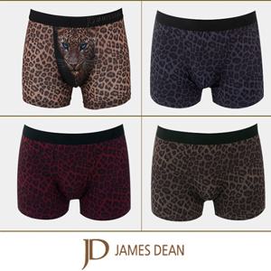 섹시 와일드 호피 아웃밴드 드로즈 4종세트