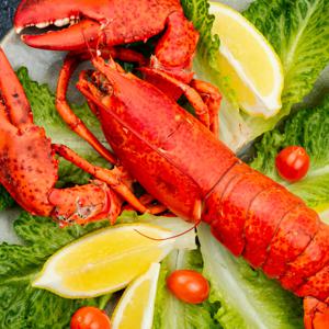 왕왕특대(4XL) 점보 랍스터(바다가재) 1미 750g~1.05kg 캐나다직수입 자숙손질 랍스타