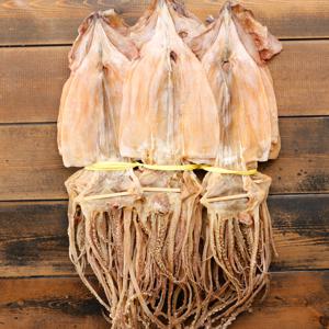 동해안 부드러운 마른오징어 20미/1kg(내외)/건조오징어