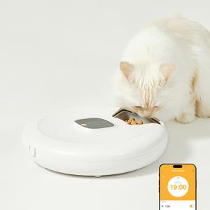 페페 강아지 고양이 6구 자동간식기 습식 화식 블루투스 분리세척 자동급식기