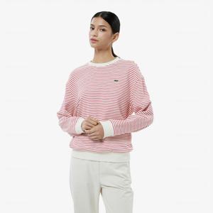 공식 여성 스트라이프 크루넥 스웻셔츠 SF931E-55N 240