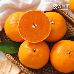 [정품] 제주 고당도 천혜향 정품 1.5kg 중소과(9과내외) 외 과수별 중량별