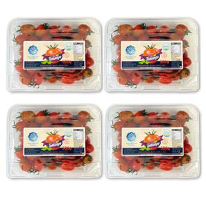 (신선집중) 생생스토리 스테비아 대추 방울 토망고 500gX4팩