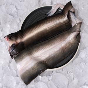 국내산 생물 프리미엄 민물장어 2Kg (2-3미전후 손질후 1.2kg이상) 무료배송 당일작업 신선배송 소스 서비스