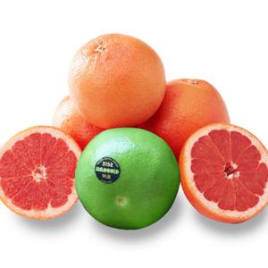 초록들농산)미국 메로골드(청자몽) / 레드자몽 20개내외 (크기선택)