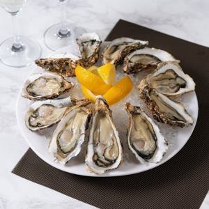 제철 반각굴 하프셀 2인분 생굴석화 횟감 거제도 특품 반각굴