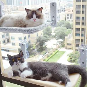고양이 창문 부착식 해먹 캣타워