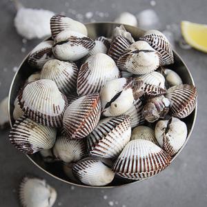 재철 새꼬막 1kg 대 100개내외 여수 벌교 꼬막