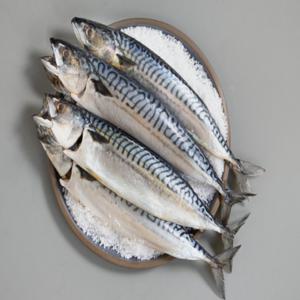 국내산 부산 손질 자반고등어 10미 대짜 (35cm내외) 다대포 겨울 간 고등어 구이 조림 / 한정특가