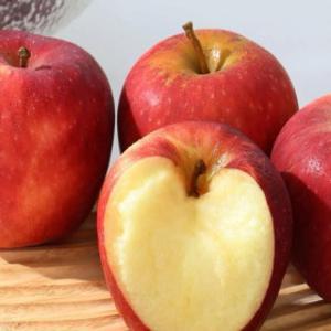 (대한민국 물가안정) 당도선별 실속형 부사 4kg 중소과(23-30과) / 일 500개 한정특가