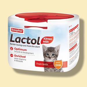 비아파 락톨키튼 아기 고양이 분유 아기 고양이 우유 250g 1개