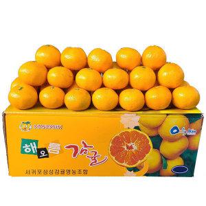 제주 고당도 프리미엄 노지 감귤 대과/잼쥬스 5kg