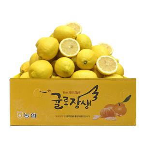 (신선집중) 제주레몬 제주에서 직접 키운 제주산 레몬 2.5kg 방부제NO 왁스NO