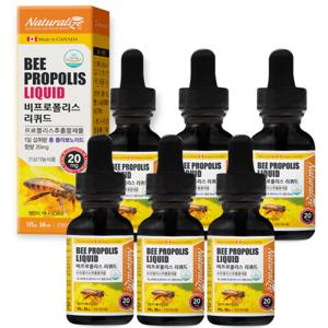 캐나다 비 프로폴리스 리퀴드 30ml 6병 액상 플라보노이드 원액 PROPOLIS  업그레이드
