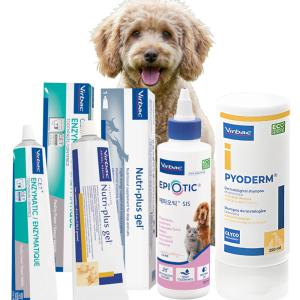 (버박 4종 모음특가)버박 영양제 뉴트리플러스겔 강아지 종합 영양제 노견 영양제 120g