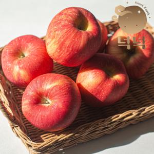 경북 고당도 부사 사과 가정용 5kg 대과 10~15과 (마른흠)  사과 전문 브랜드 - (주)넉넉