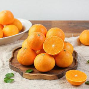 (신선집중) 황금향 제주직송 가정용 황금향 4.5kg(혼합과)