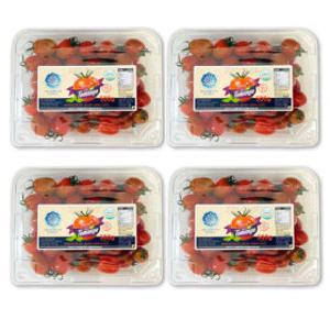 (신선집중) 생생스토리 스테비아 대추 방울 토망고 500gX4팩