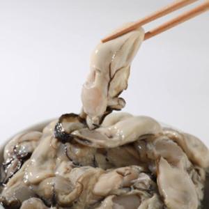 제철 통영 생굴 2kg 최상급 깐굴 산지직송 햇굴