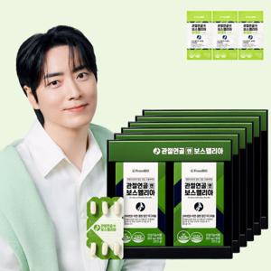관절연골엔 보스웰리아 30정x12박스/6개월 개별인정형원료 (특가+선물포장가능+보스 원데이 14포 3박스)