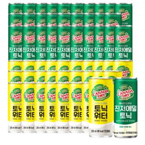 캐나다드라이 토닉워터 30캔 + 진저에일 토닉 30캔 각 250ml