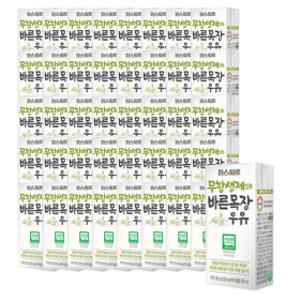 파스퇴르 무항생제 바른목장우유 190mL48팩