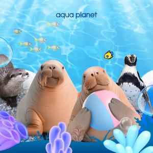 (일산/광교) 아쿠아플라넷 입장권 특가