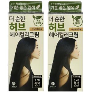 그린팩토리 더 순한 염색약 새치머리용 흑색 2P 친환경 저자극 염색약