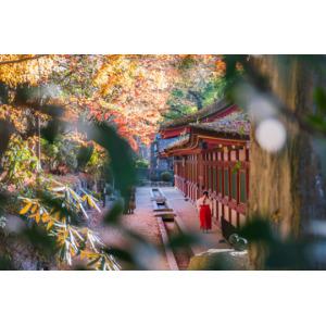 큐슈3일 100%출발확정/긴급모객 패키지 인기상품모음