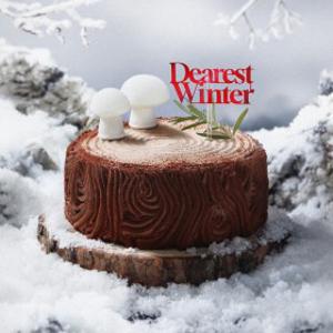 (투썸플레이스) 부쉬 드 노엘