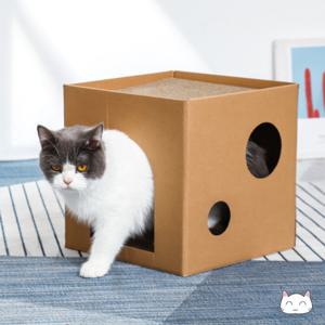 고양이 숨숨집 2단 스크래쳐 박스 DIY 캣하우스