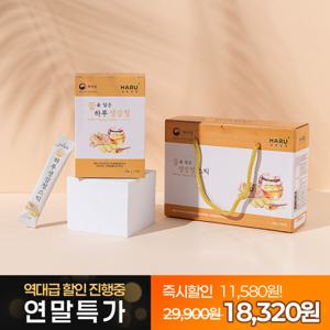 1+1 하루건강 생강청 스틱 액기스 엑기스 생강원액 생강차 30포x2박스