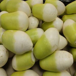 (우주초특가) 제주산 월동무 10kg 가정용 최상급 (지마켓 단독) 오늘 하루 특가