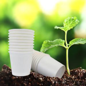 무지소주컵2000개 종이소주컵 시음컵 소주종이컵 용량 60(+/-5)ml