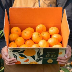 고당도 효돈 감귤 10kg 5kg 로얄과 중대과 가정용 마지막 행사 단 하루만 가능한 가격