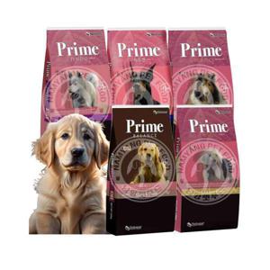 강아지사료 15kg 뉴트리나 프라임 밸런스 진도 특수견 골드 플러스 애견 대형견 대용량 개사료