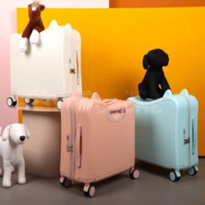 탈수있는 유아캐리어 타는캐리어 가방 라이딩캐리어 (20인치) 어린이집크리스마스선물 유치원크리스마스선물