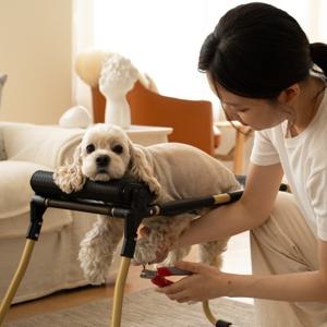 반려동물 목욕기구 미용기구 펫그룸 세트 중형 1대 아픈강아지도 편하게 케어해요