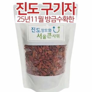 진도 햇 구기자 200g 25년 11월 방금 수확