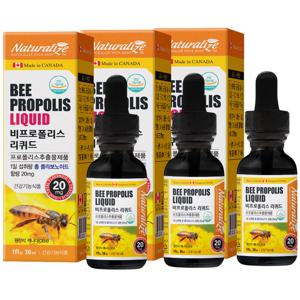 캐나다 비 프로폴리스 리퀴드 30ml 3병 액상 원액 PROPOLIS 플라보노이드 소비기한 27년 4월 10일