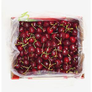 (신선집중) 더노랑 항공수입 생체리 칠레산 1kg 25-30mm 2JD사이즈 (특대과)