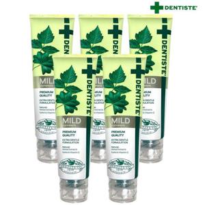 [땡큐온]덴티스테 마일드 나이트타임 치약 160g x5개 허브성분
