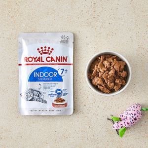 로얄캐닌 인도어 그레이비 파우치 85g 고양이 사료