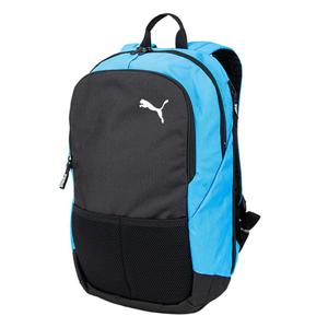 [푸마] 정품 팀골 백팩(가방) (09023902)