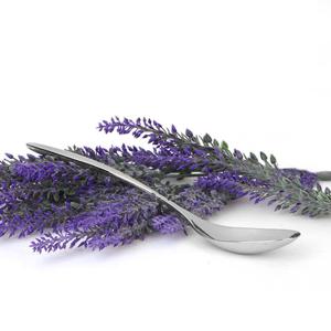 [골든벨]코다 민 양식기 디너스푼