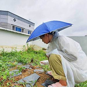 머리에쓰는우산 머리에 쓰는 소형 블루 머리우산 모자